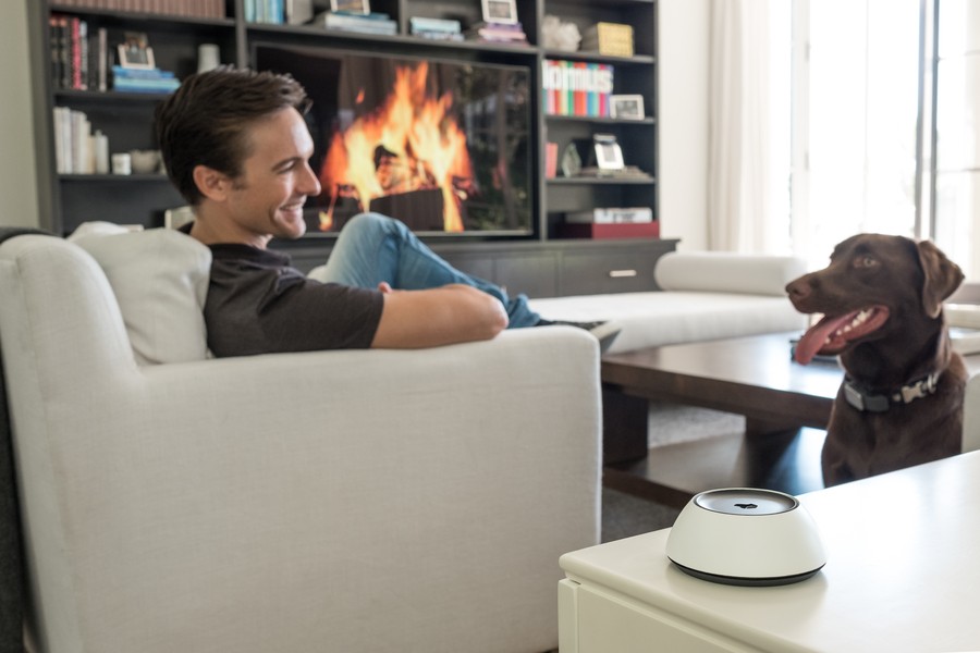 Three pieces of smart home technology placed on a counter. 